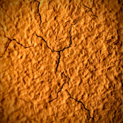 Macro