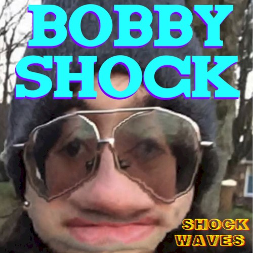 Shock Waves