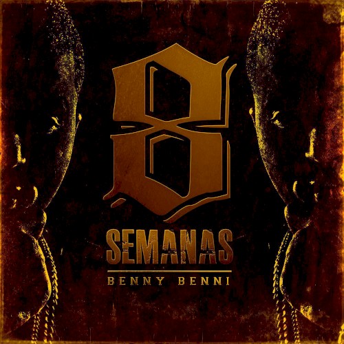 8 semanas