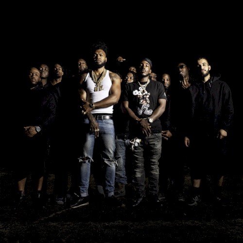 Members By All Movements