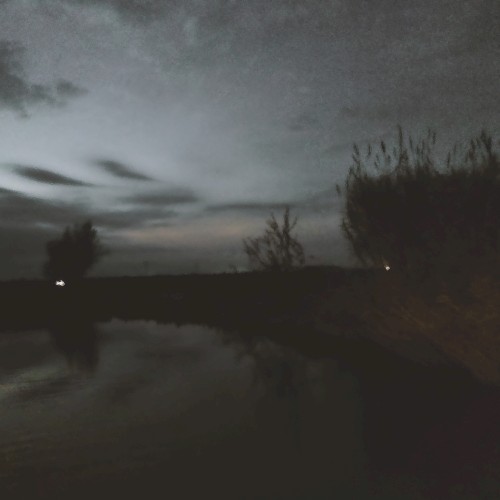 Echoes of a Fading Existence
