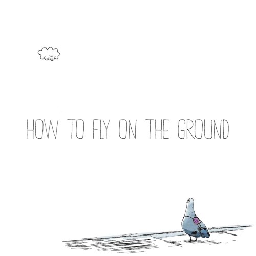 How to Fly on the Ground