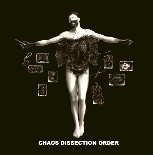 Chaos Dissection Order