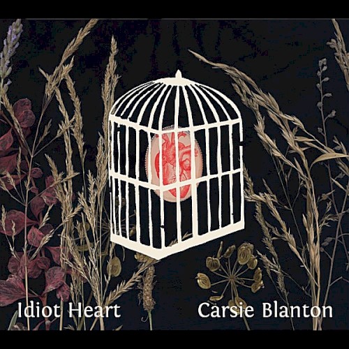 Idiot Heart