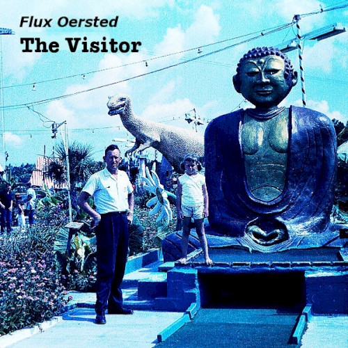 The Visitor