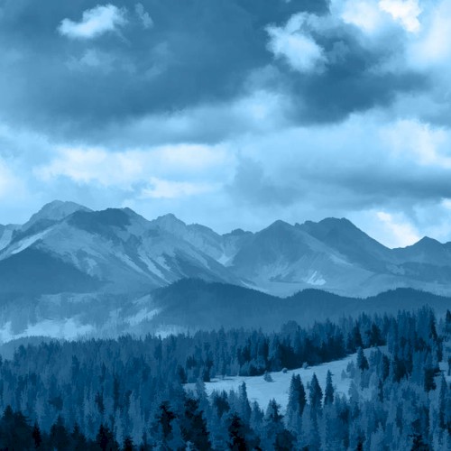 BLUE 20