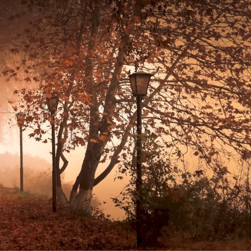 With Autumn I