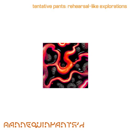 tentative pants: rehearsal-like explorations 1