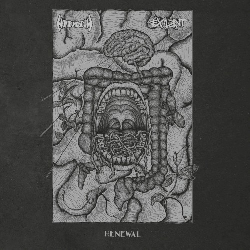 Renewal
