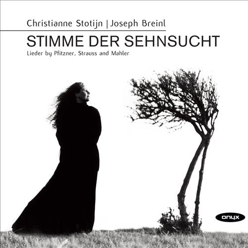 Stimme der Sehnsucht