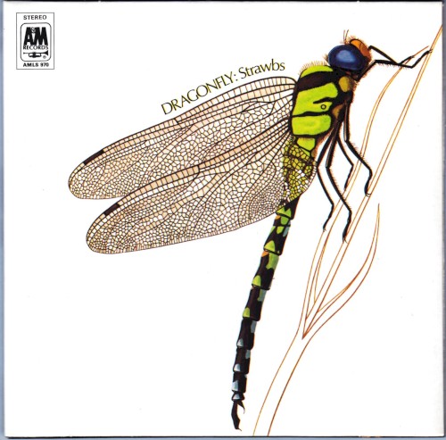 Dragonfly