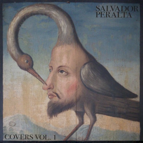 Covers Vol. 1