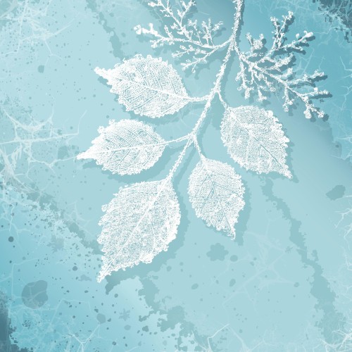 Winter’s Passage