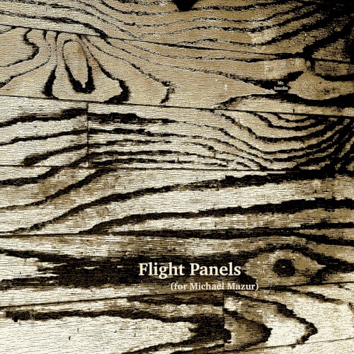 Flight Panels (for Michael Mazur)