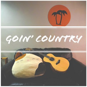 Fat Lip (Country Version)