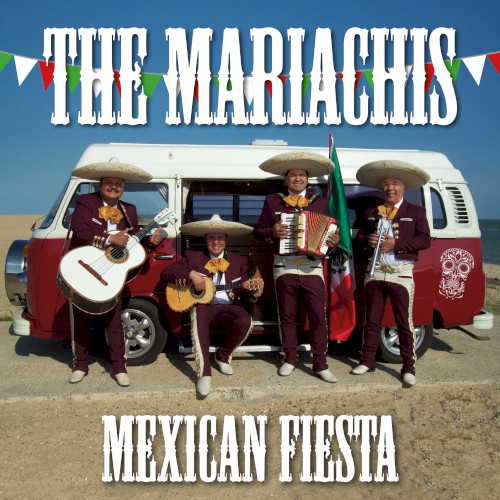 Mexican Party