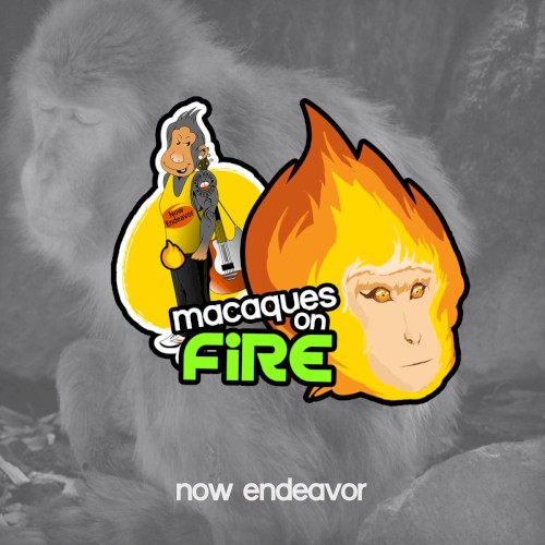 Macaques on Fire