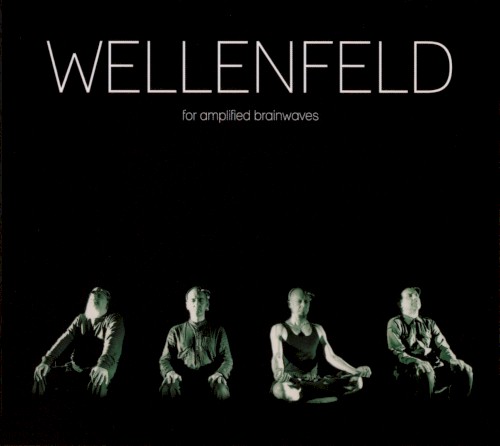 Wellenfeld