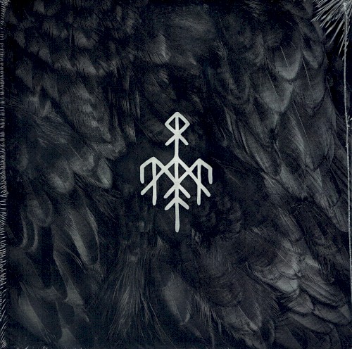 Kvitravn