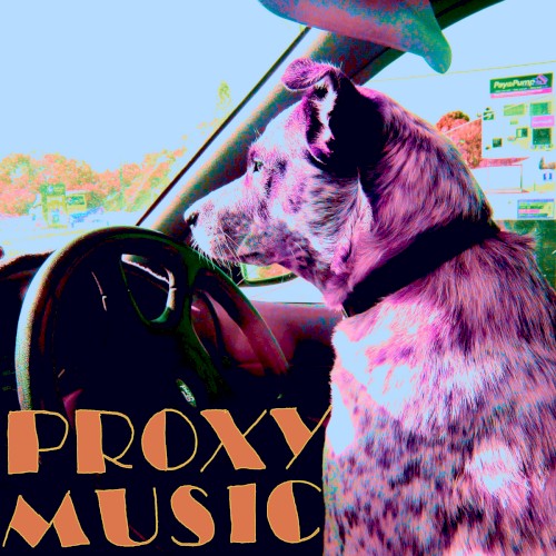 Proxy Music