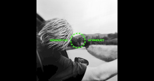 Hovedet Ud Af Vinduet