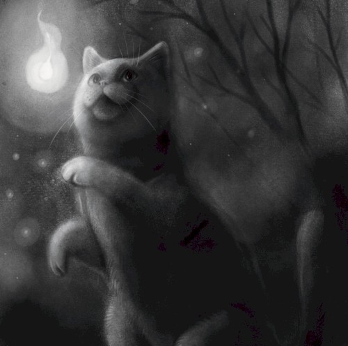 Luna & the Light