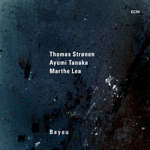 Bayou