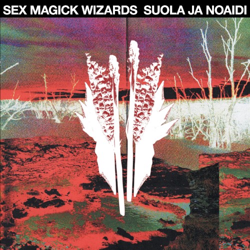 Suola ja Noaidi
