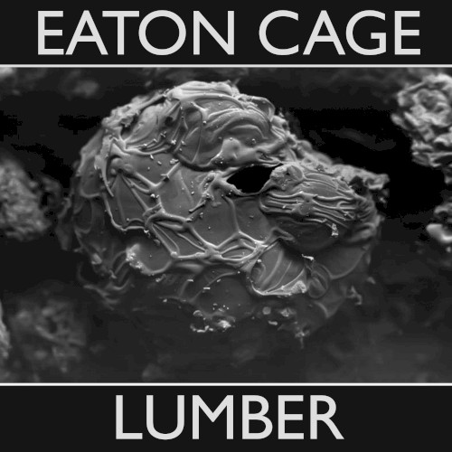 Lumber