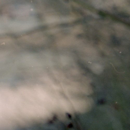 From a Distance