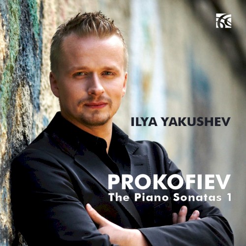 The Piano Sonatas 1