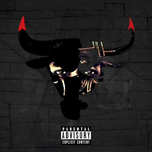 Chicago Bull