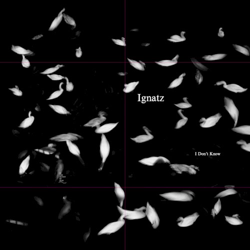 Ignatz &ndash; I Don't Know