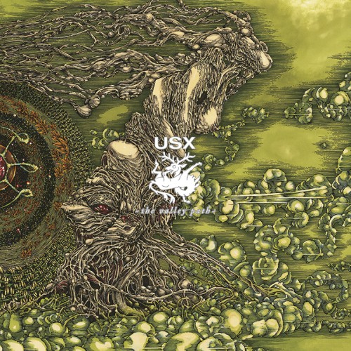 The Valley Path
