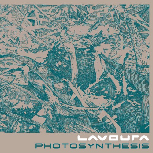 Photosynthesis