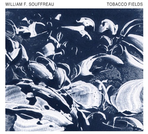 Tobacco Fields