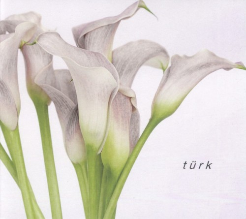 Türk