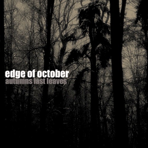 Autumns Last Leaves
