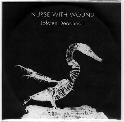 Lofoten Deadhead