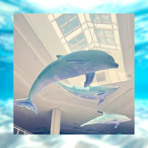 ◤The Dolphin Atrium◥