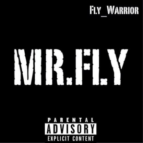 Mr.Fly