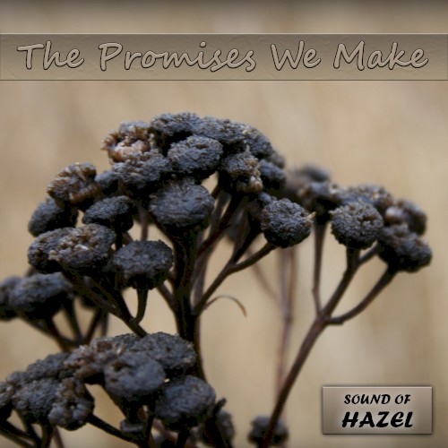 The Promises We Make