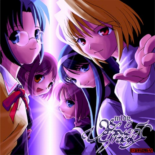Voynich Tracks