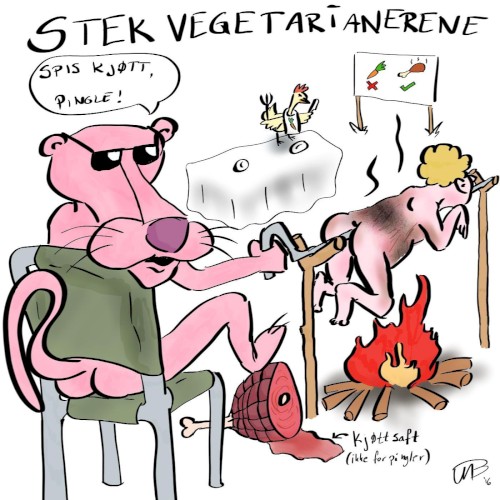 Stek vegetarianere