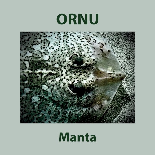 Manta