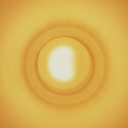 Monstersol