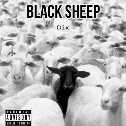 Blaxk Sheep