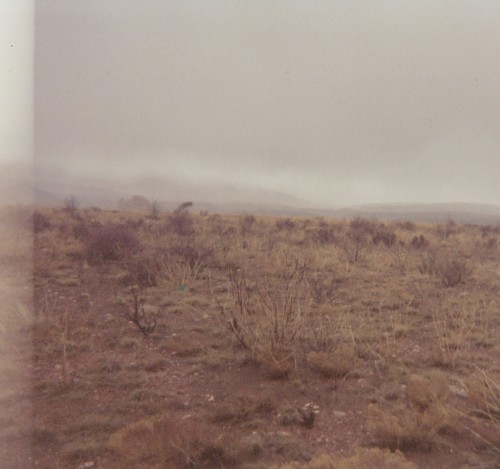 Blood Dust
