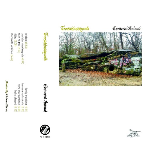 Cornered Animal