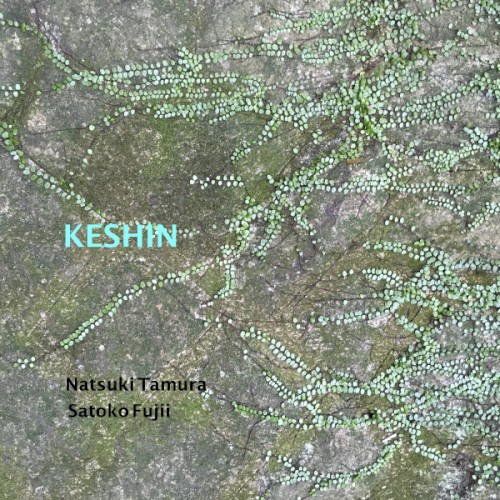 Keshin